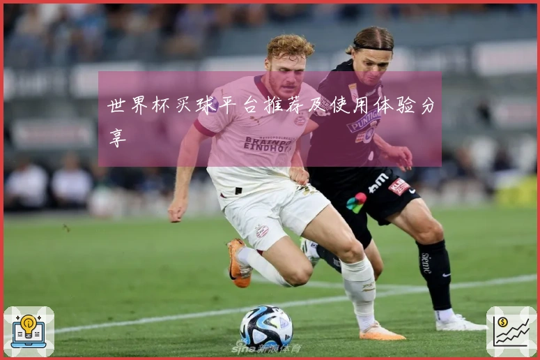 世界杯买球平台推荐及使用体验分享