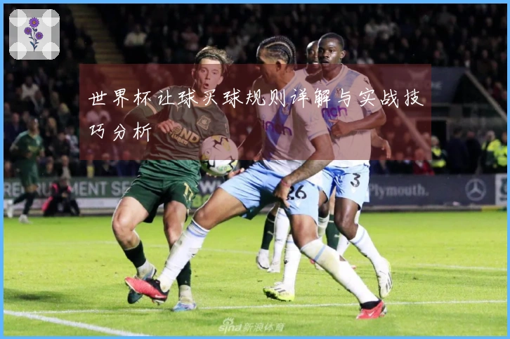 世界杯让球买球规则详解与实战技巧分析