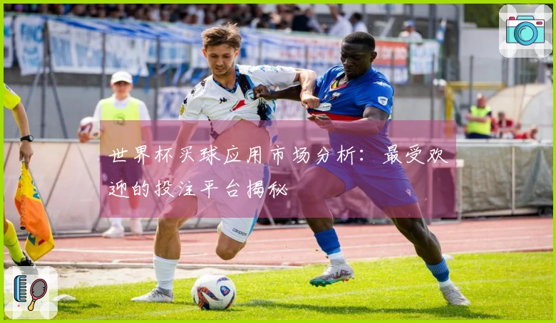 世界杯买球应用市场分析：最受欢迎的投注平台揭秘