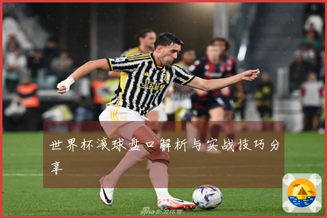 世界杯滚球盘口解析与实战技巧分享