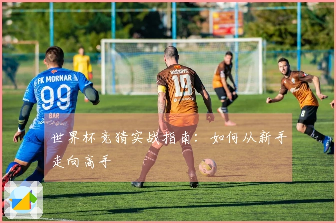 世界杯竞猜实战指南：如何从新手走向高手