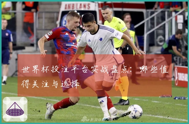 世界杯投注平台实战盘点：哪些值得关注与选择